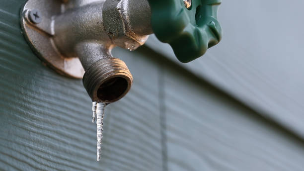 Best Shower Repair Services  in Waipio Acres, HI